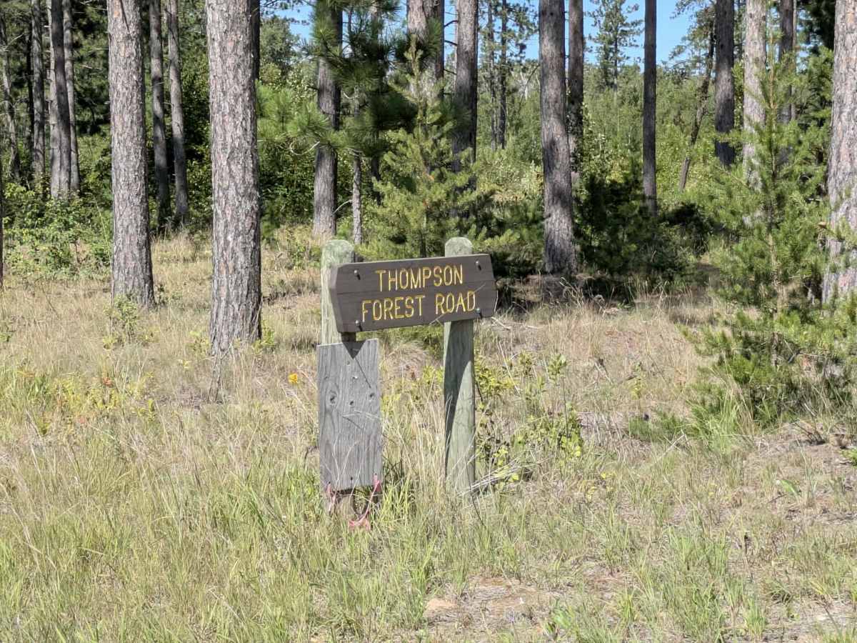 Thompson Forest Road  photo 2