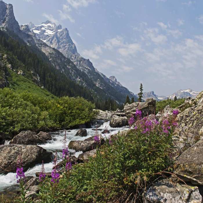 Near Lake Solitude via Cascade Canyon