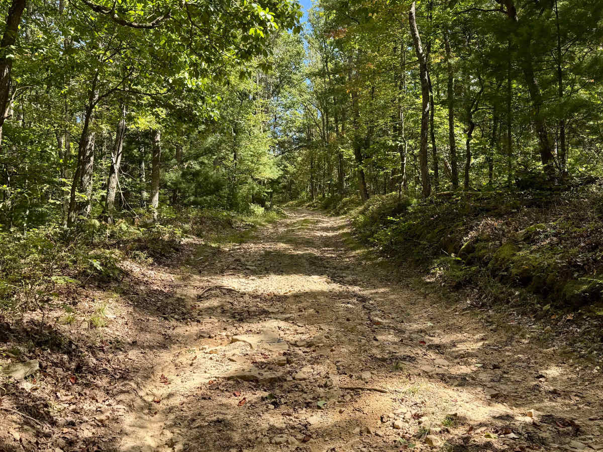 West Pittman Road trail photo