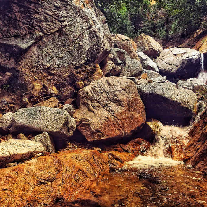 Near Millard Canyon Trail