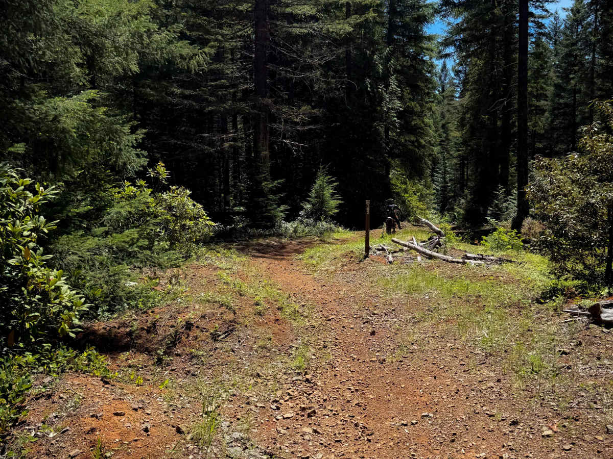 103 photo 4