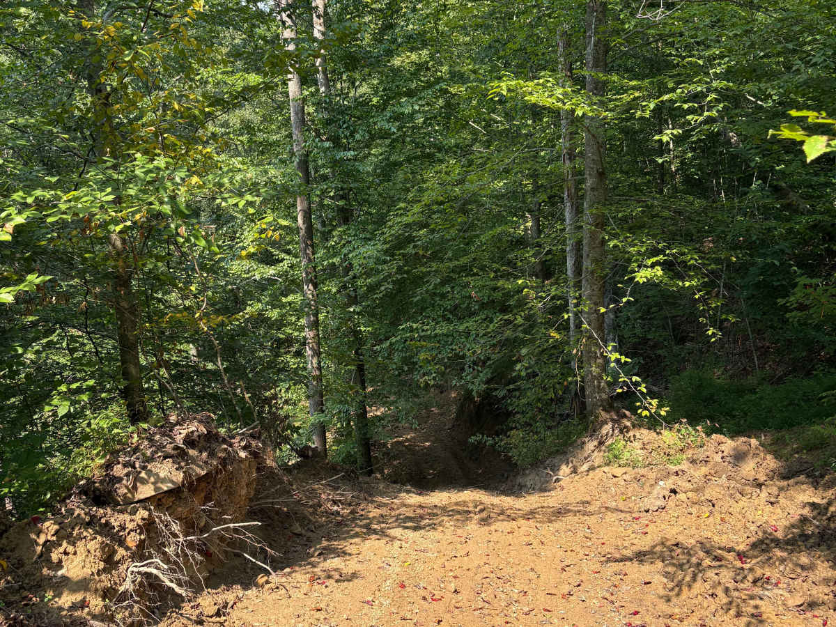 Trail 1 photo 5