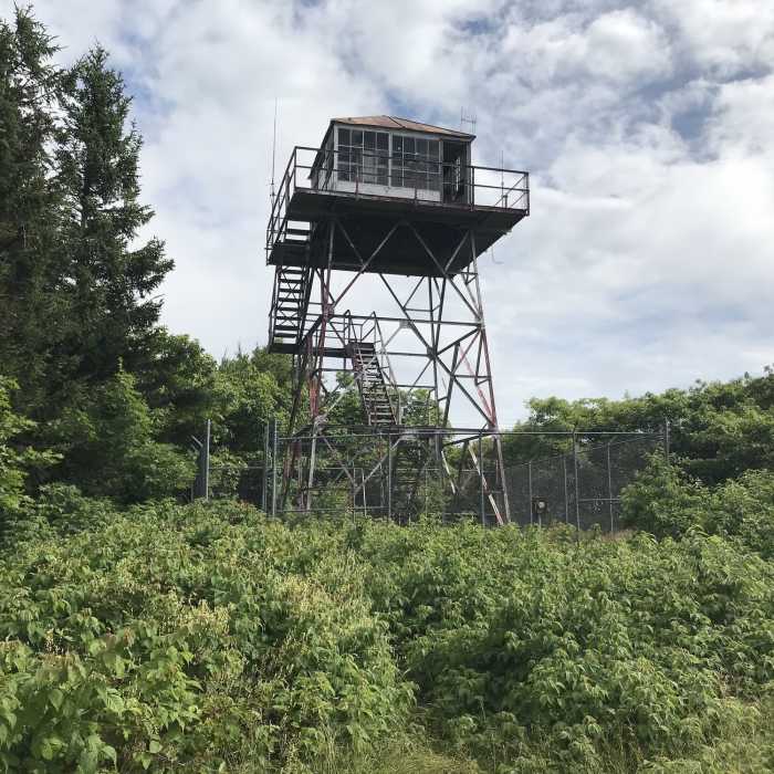 Fire Tower on Elliott's Knob Near North Mountain Trail #443