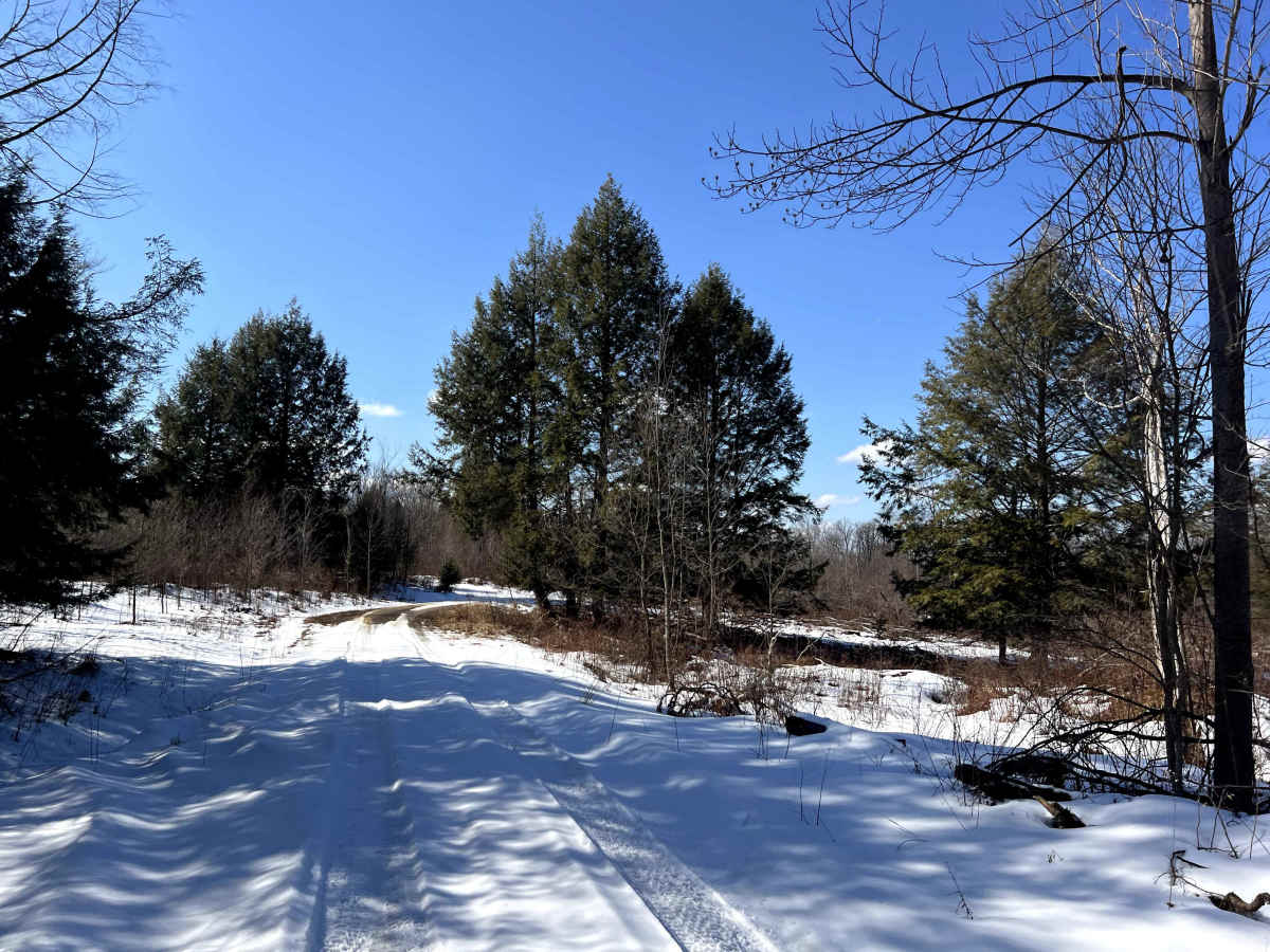 Westline Loop photo 3