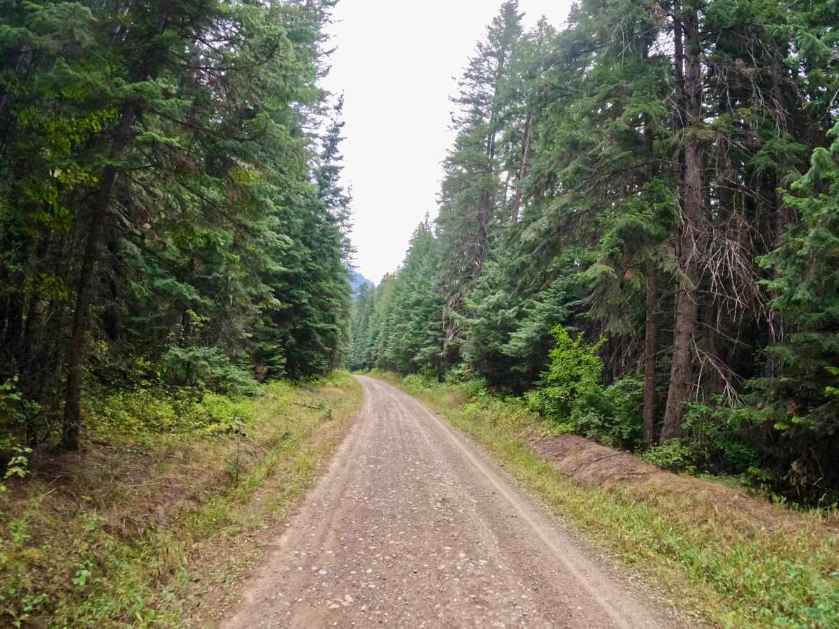 South Fork Little Joe Creek - FS 221 trail photo