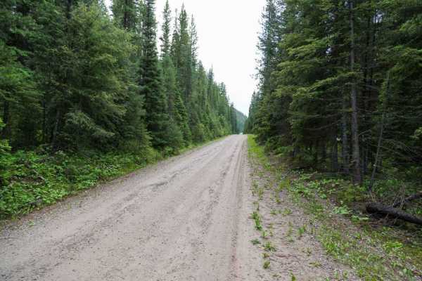 Meadow Creek