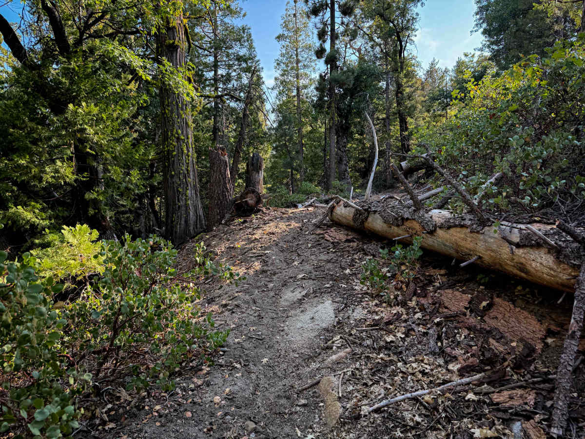 18EV77 trail photo