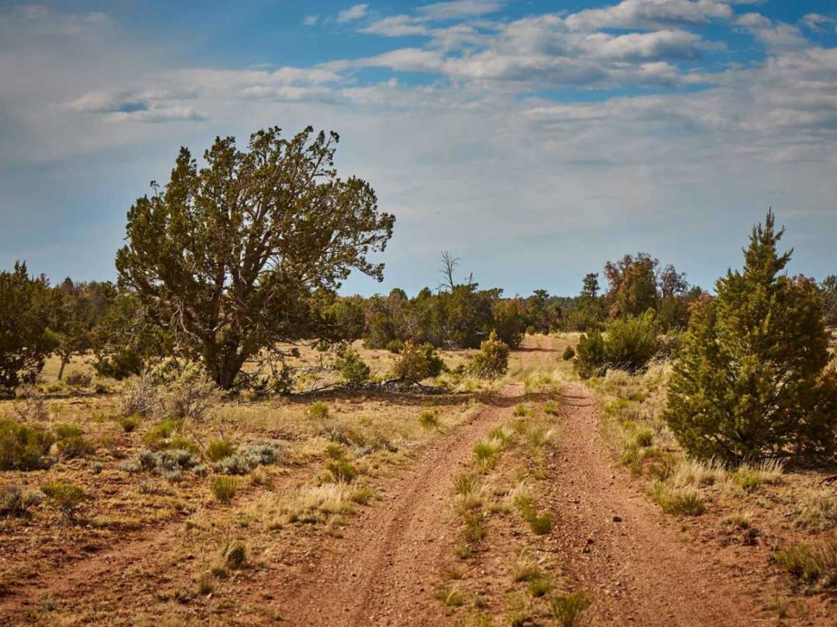 FR 2728 trail photo