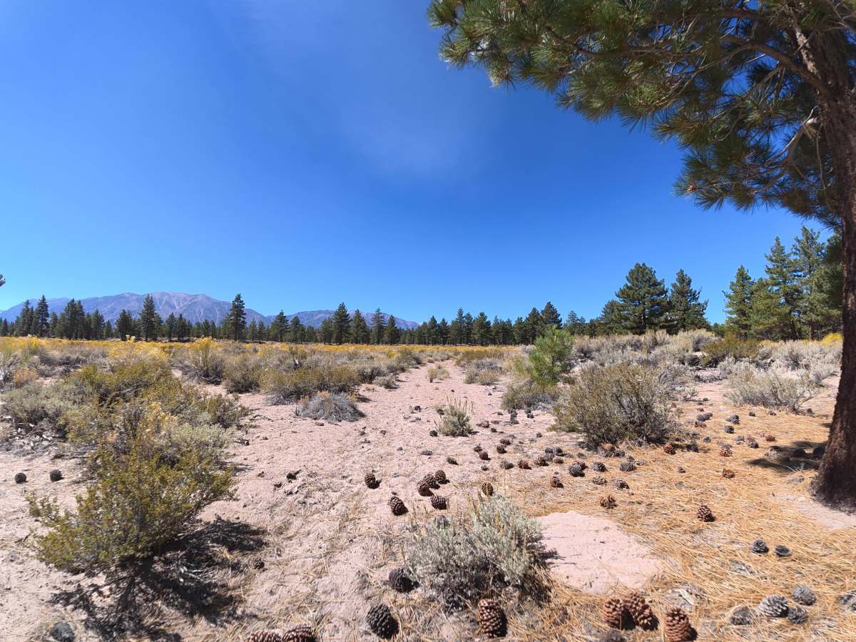 FS 4S126A trail photo