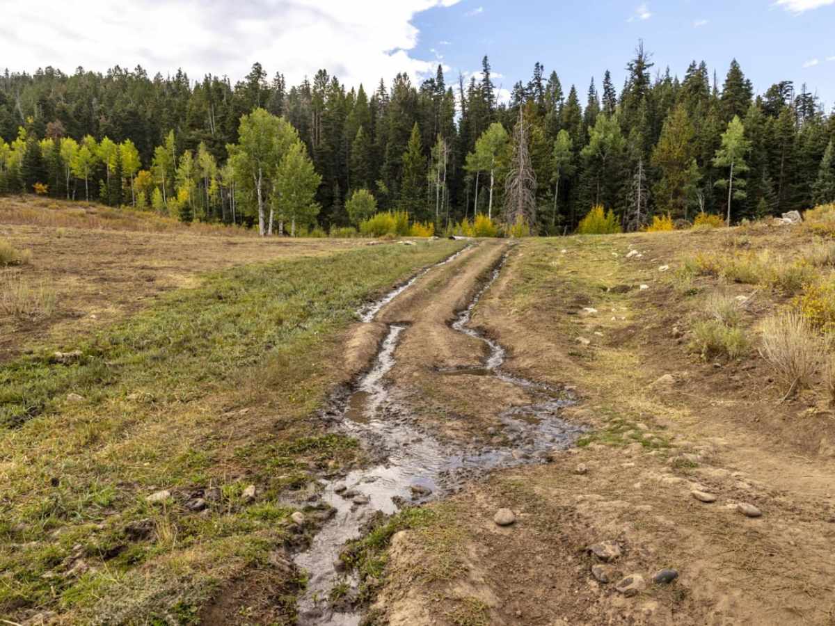 Water Hollow Trail photo 6