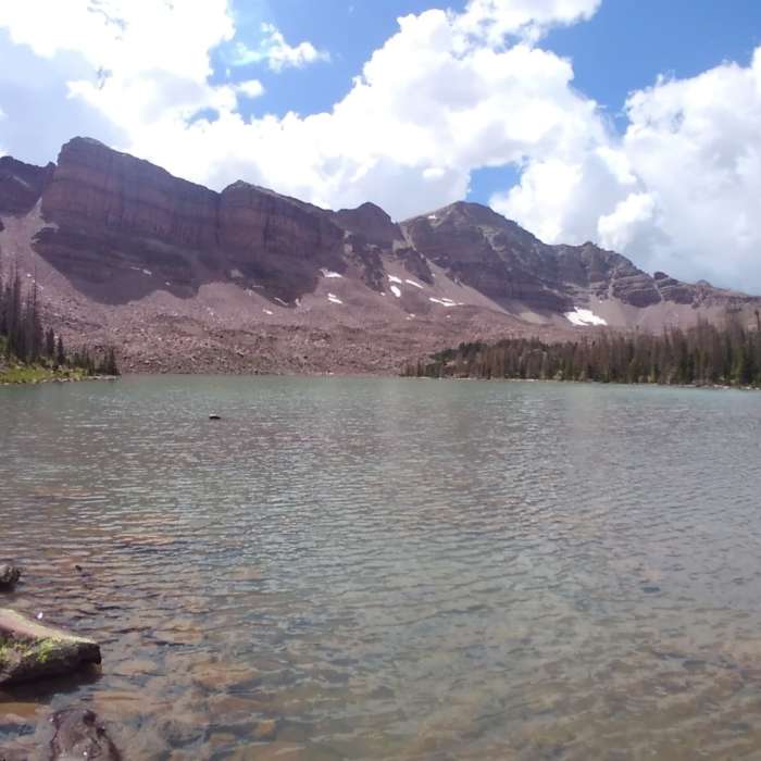 Near Uinta Highline Trail