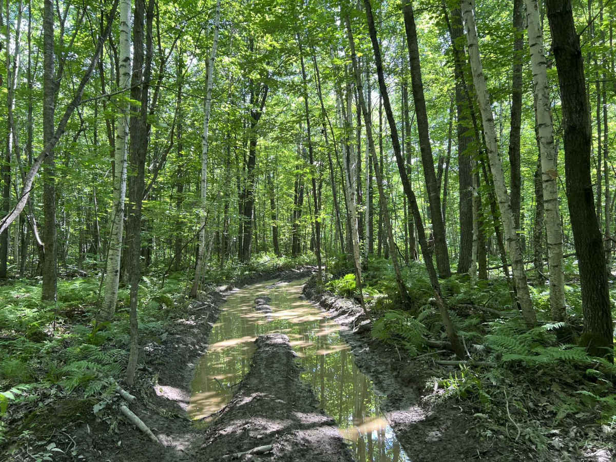 Forest County ATV/ SxS 8 Mile Loop Trail 6 photo 4