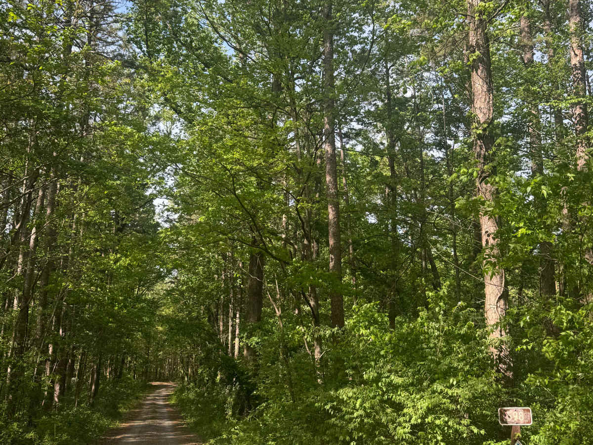 Cadiz Campground Trail trail photo