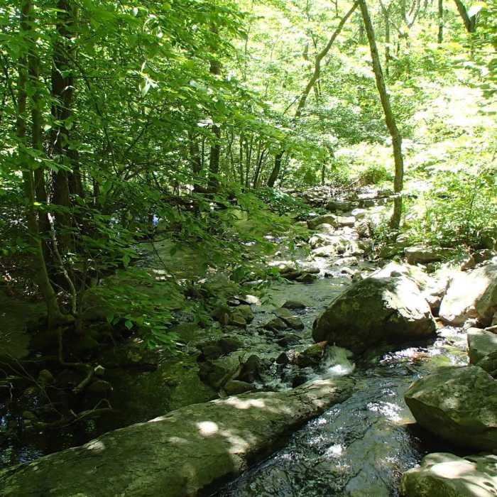 Lowest point, where the AT crosses the dirt road Near AT / Kaiser Trail / Coppermine Trail