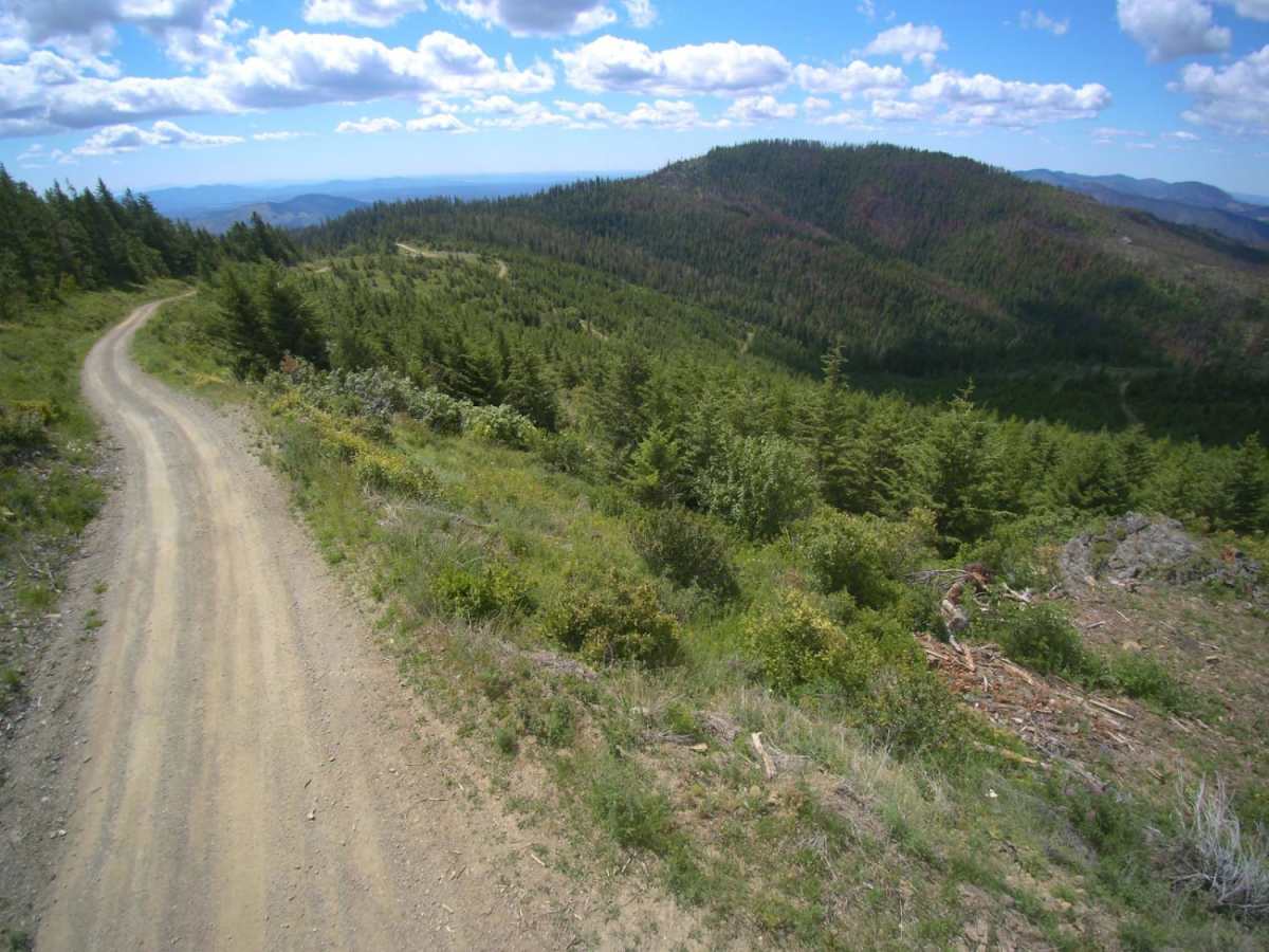 Stensgar Mountain trail photo