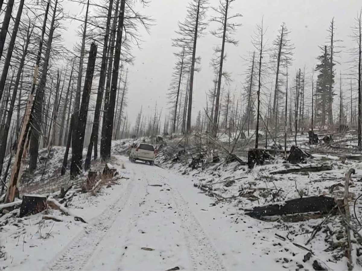 Little Bald trail photo