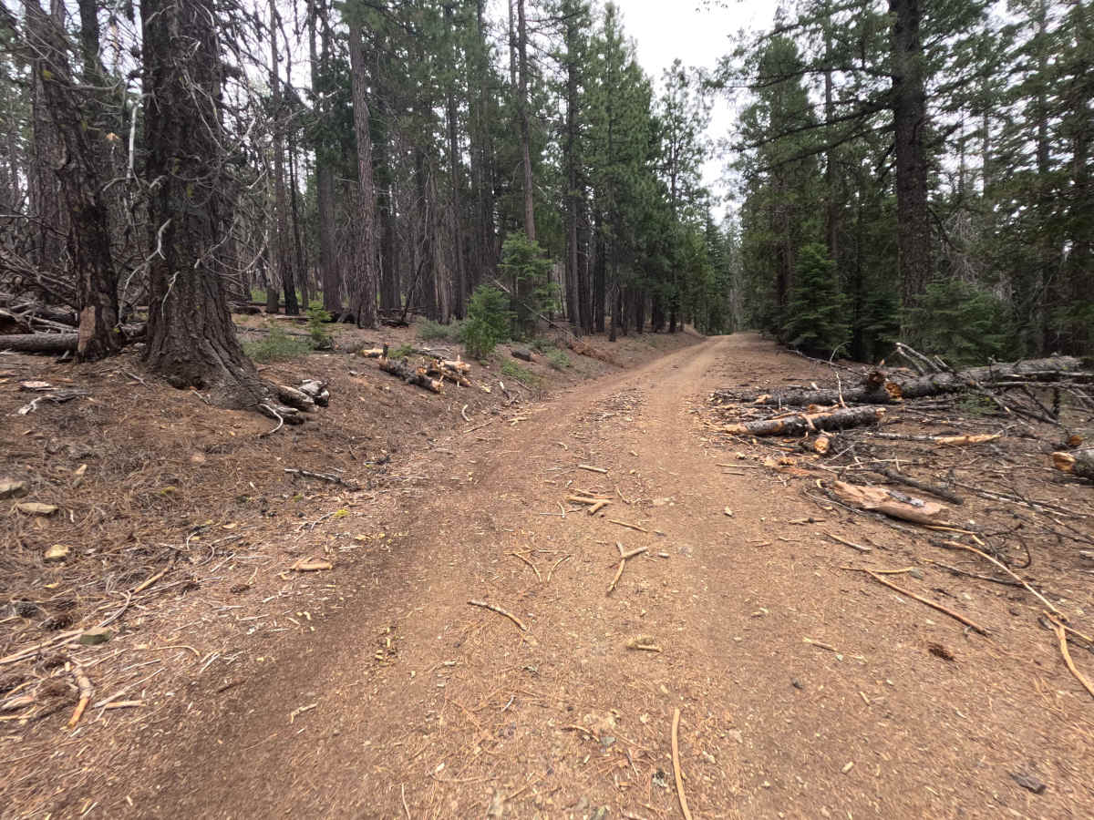 Lower Jumbo Springs - FS 20N63 photo 2