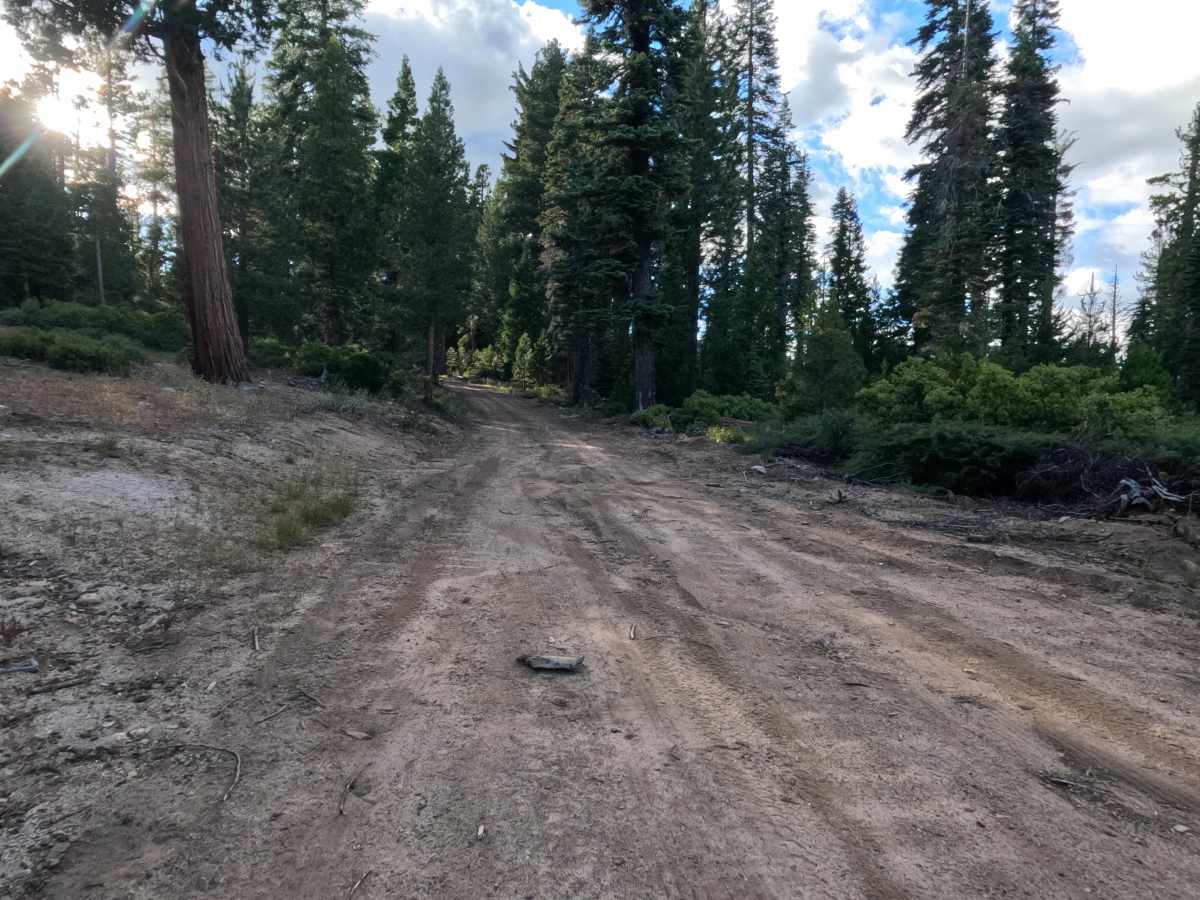 Sloan Cabin Spur - FS 12N99A photo 4