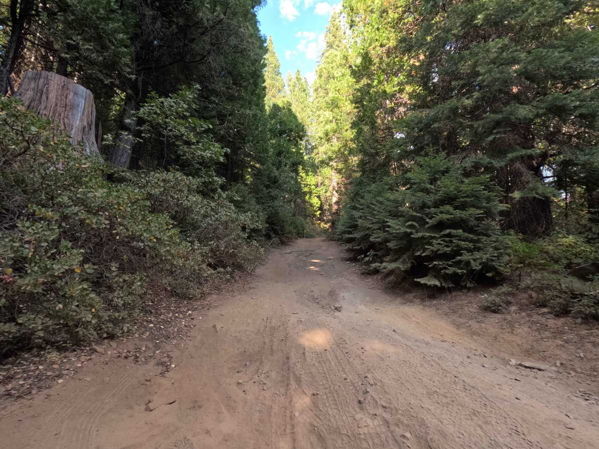 Buffin Meadow Road - FS 5S043 photo 3