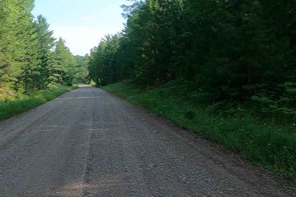Mormon Creek Road - FSR 2231