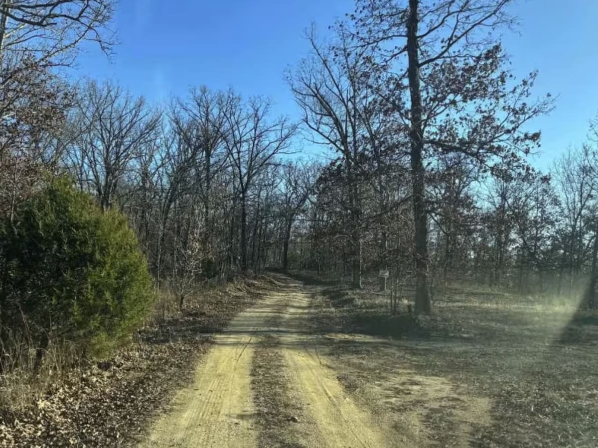 Galveston Road  photo 5