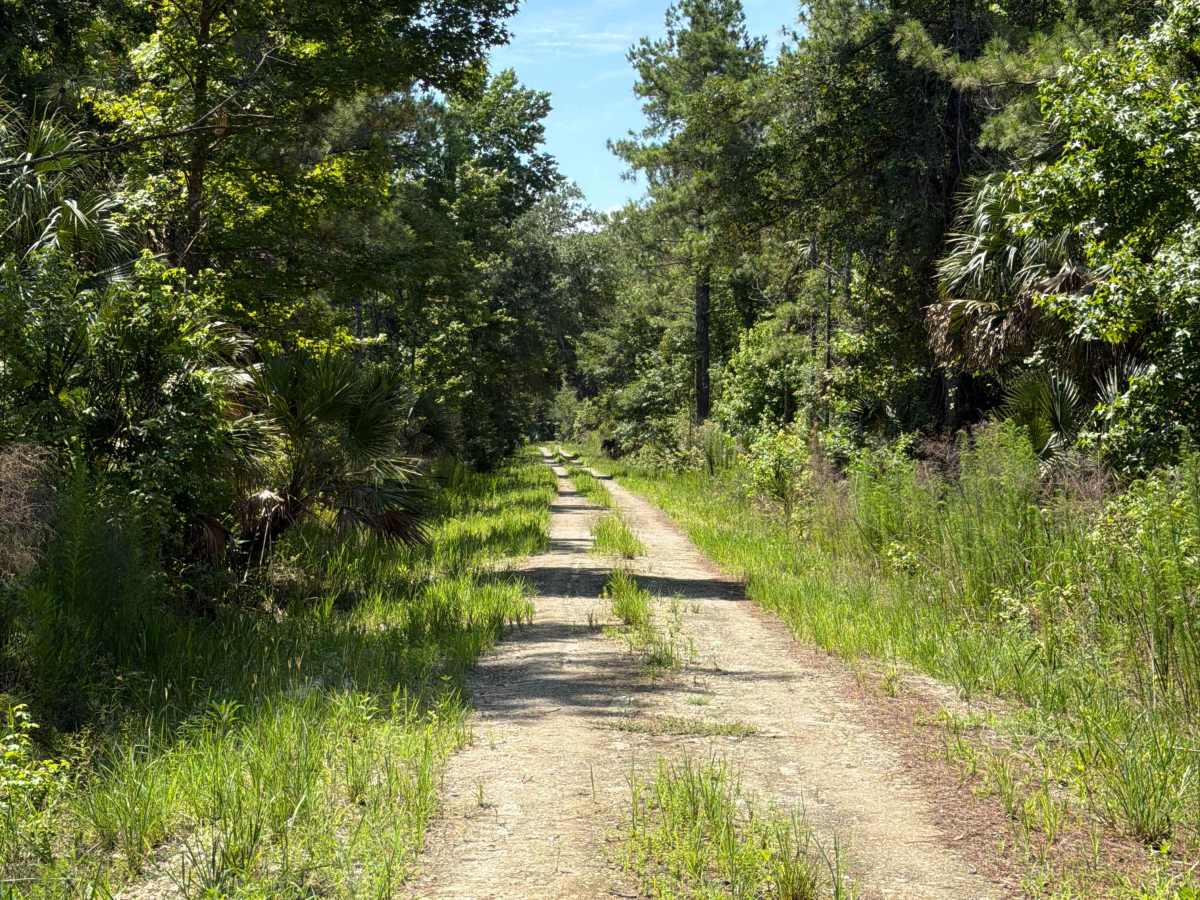 Marsh Road trail photo