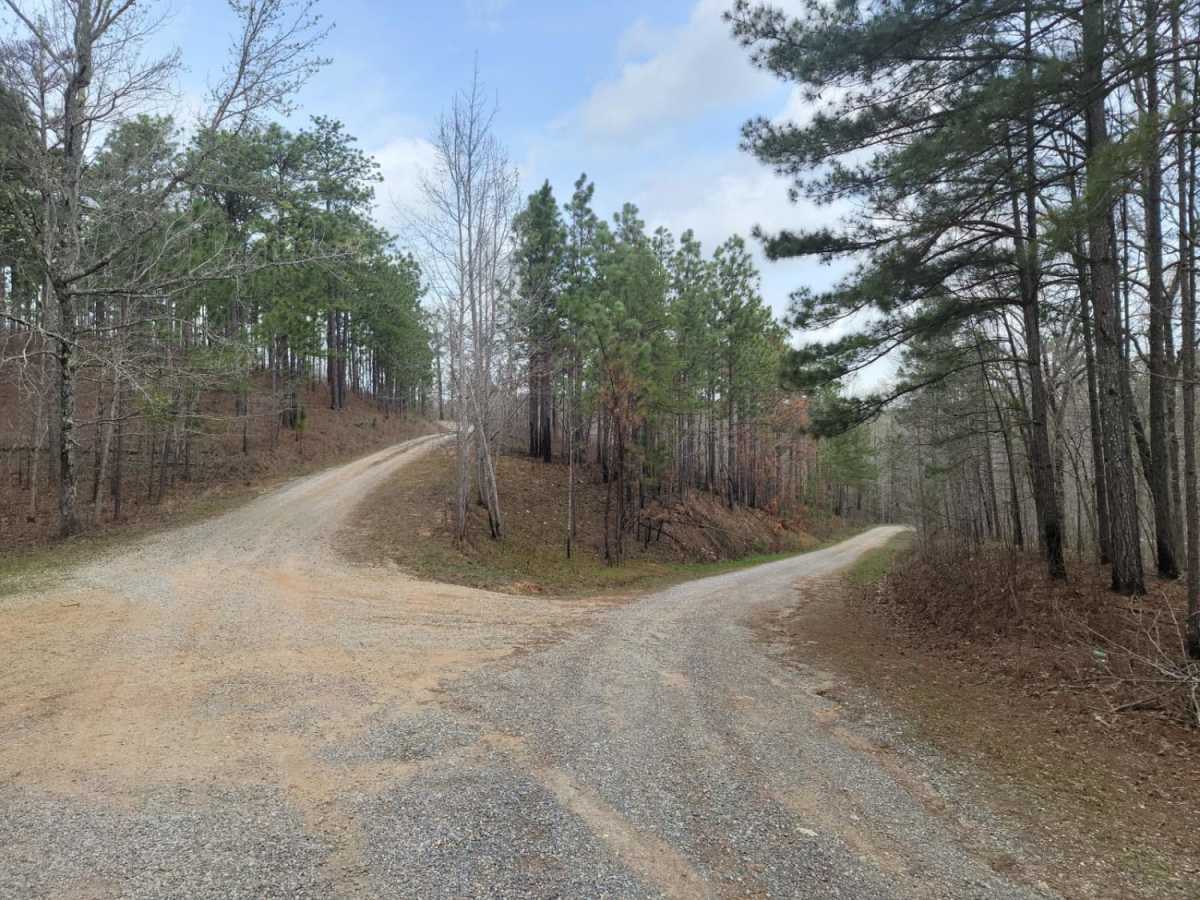 USFSR #637 trail photo