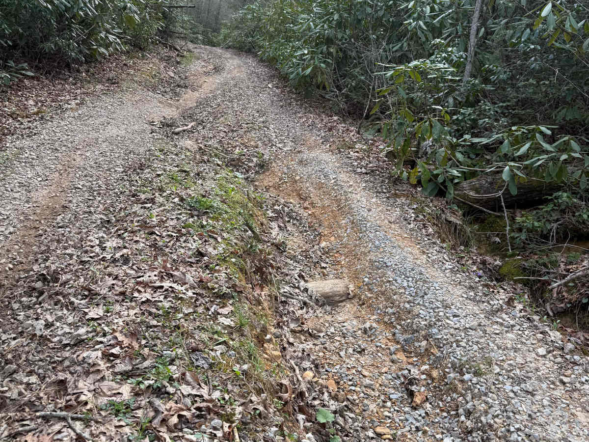 Quarter Branch Road photo 5