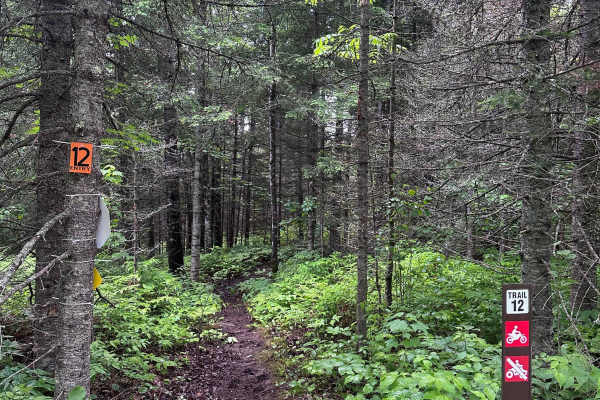 Alger Grade - Trail 12