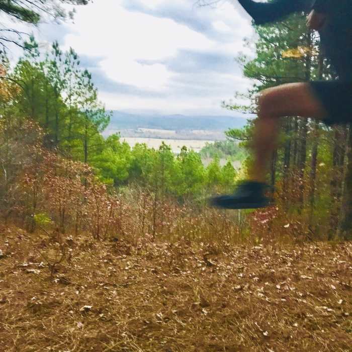 Near Serendipity Trail