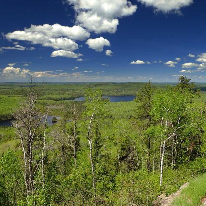 View west from below the summit. Near Eagle Mountain