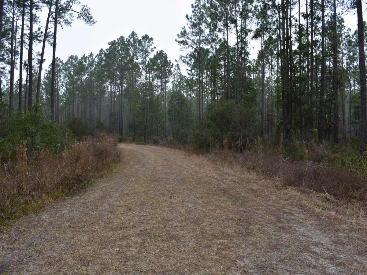 Battlefield Trail photo 3
