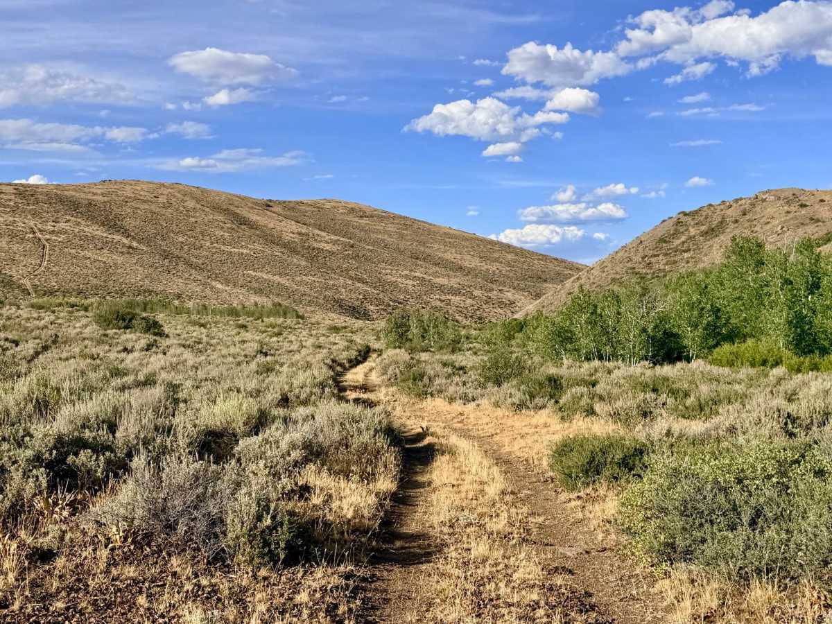 Winters Creek Road - FS 56156 trail photo