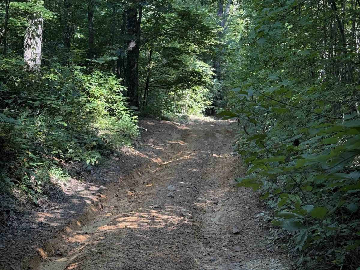 Short Ridge Trail photo 4