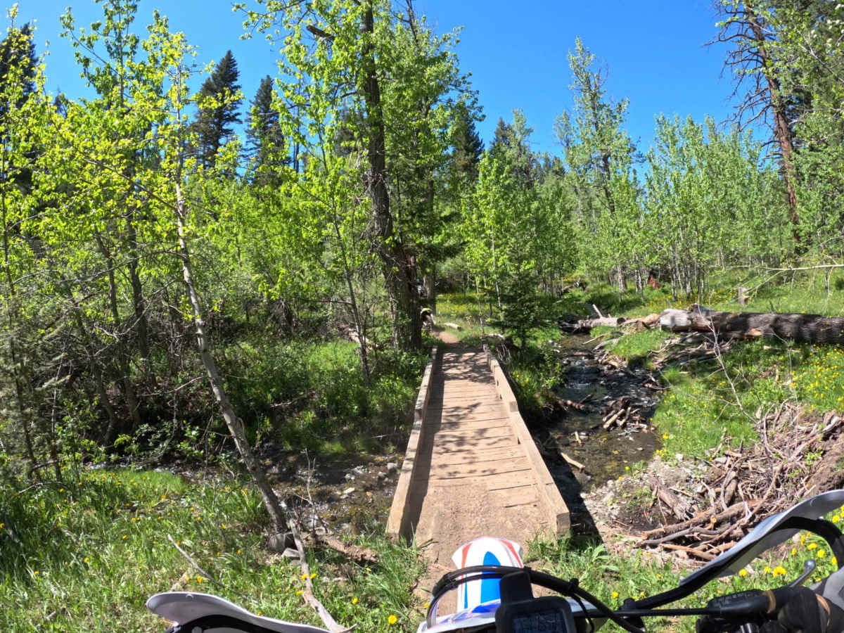 Center Ridge/North Fork Highwood Creek trail photo