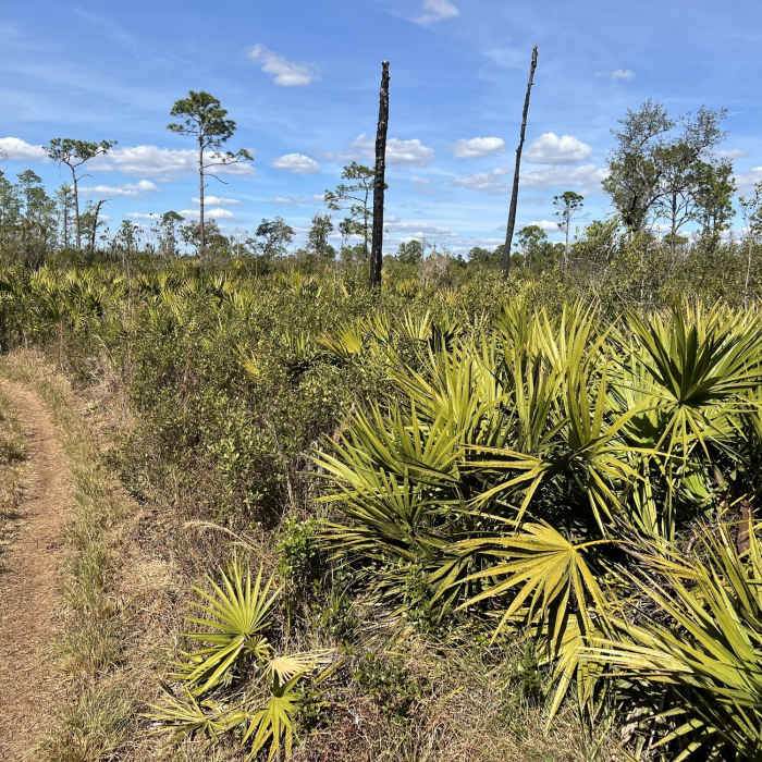 Near Equestrian Trail