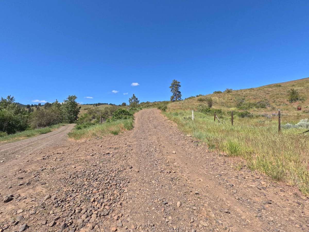Moses Carr Road photo 2