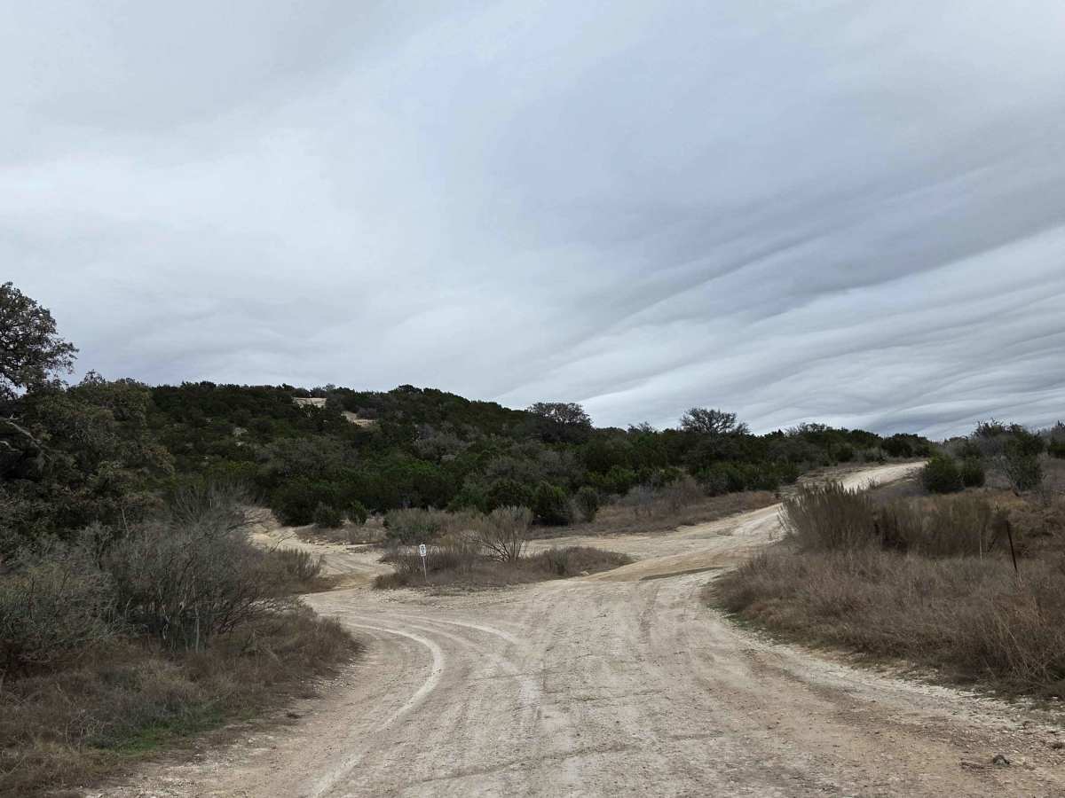 Park Road 2 photo 2