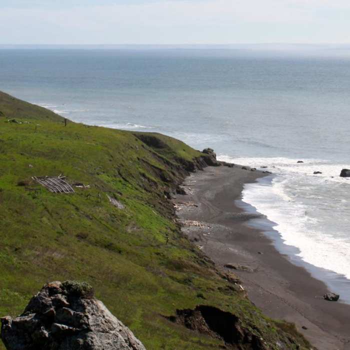 Near The Lost Coast Trail