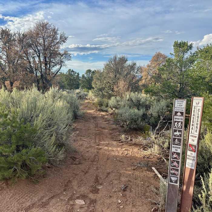 Near Cedar Post Loop