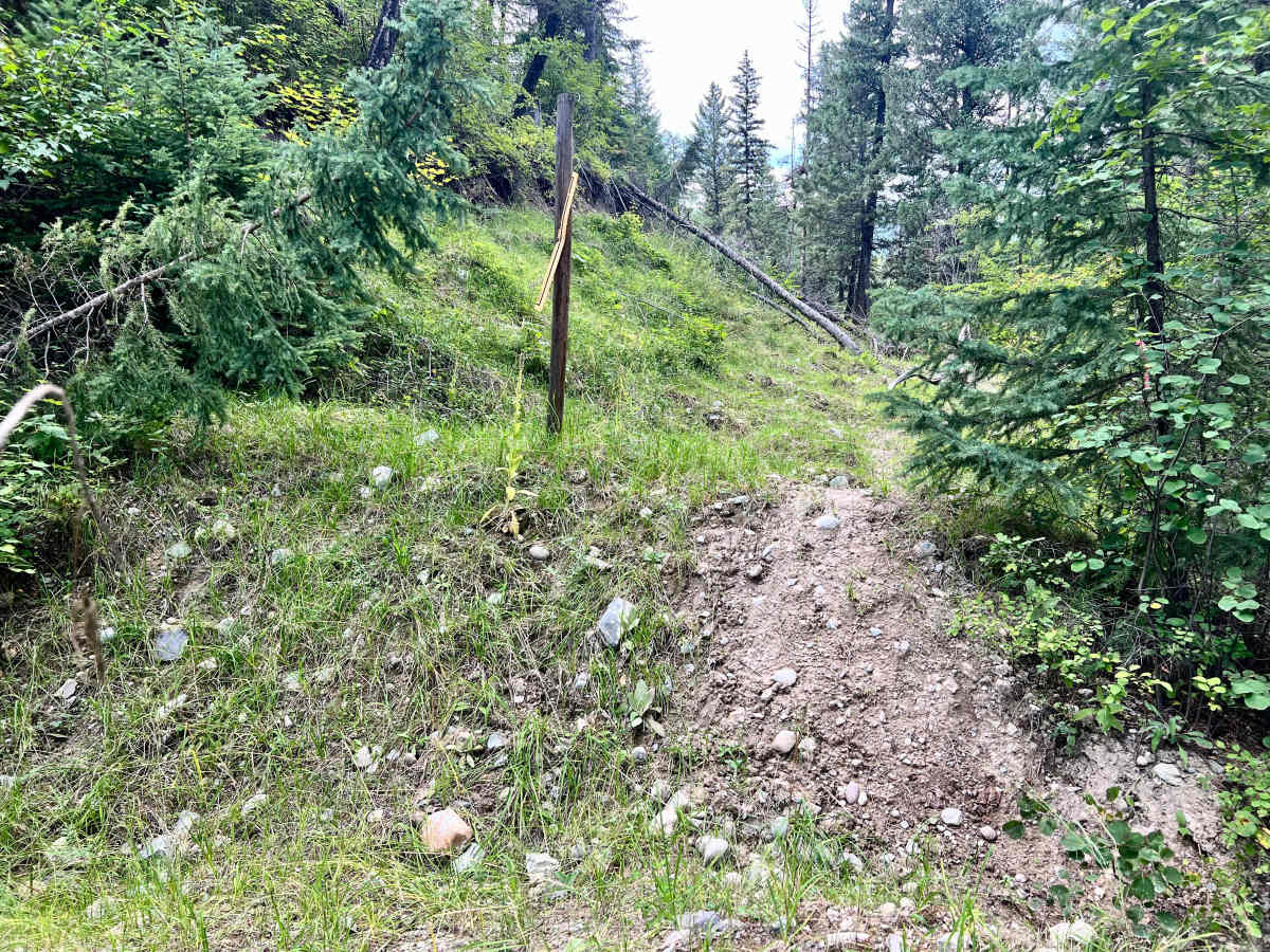 Gold Creek photo 6