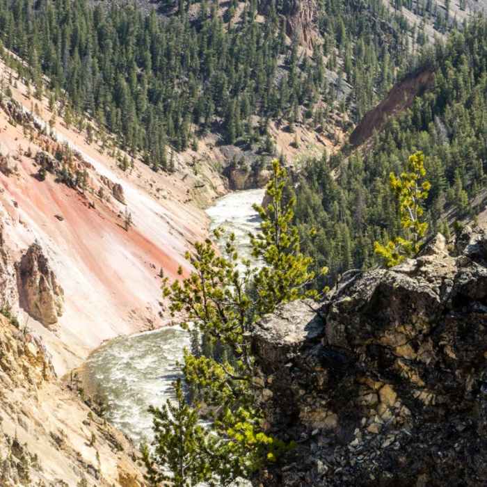 Near Ribbon Lake Trail