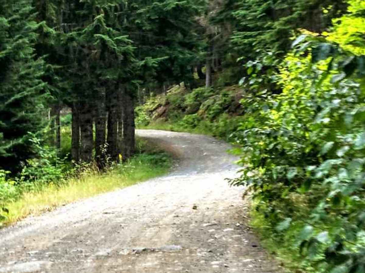 Hyak/Rockdale Lake Road - FS 9070 trail photo