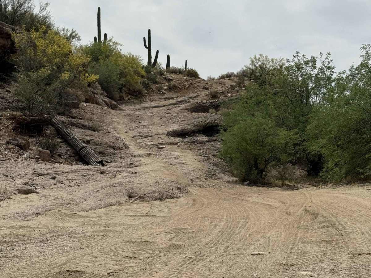 BLM 28072 trail photo