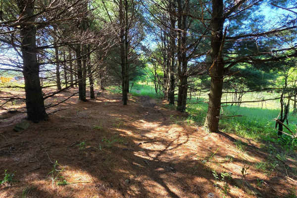 Single Track P