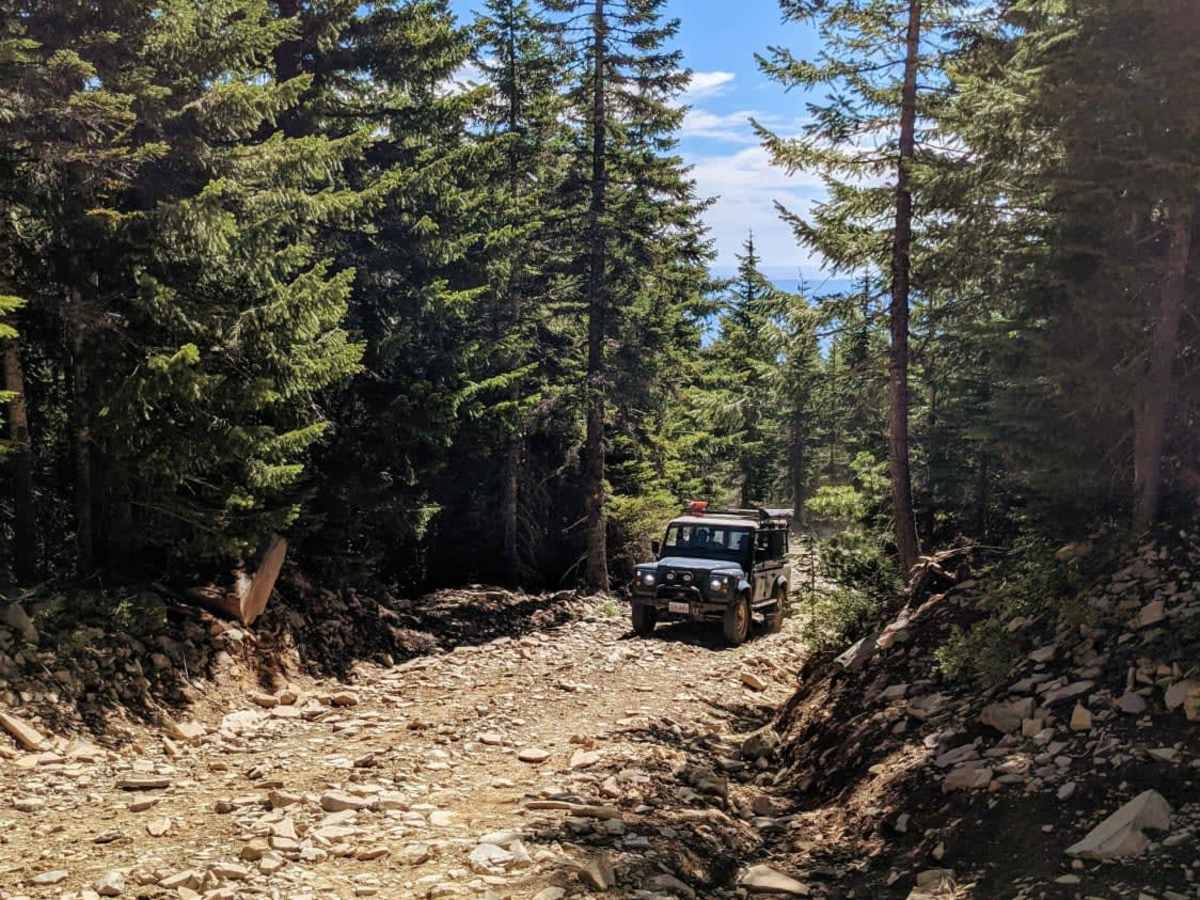 Mount Defiance - NF 2821000 photo 2
