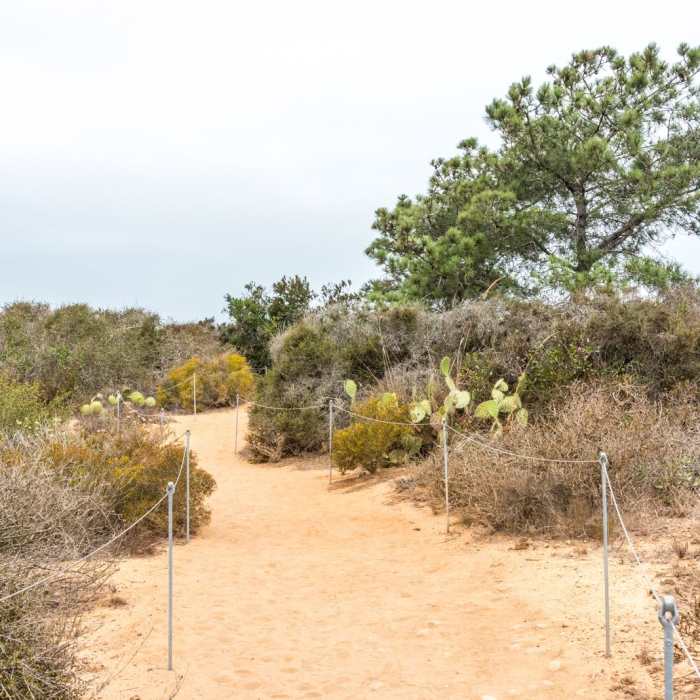 Near Razor Point Trail