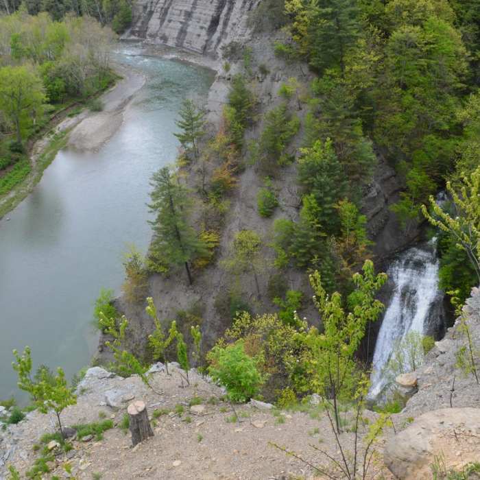 Near Letchworth West Gorge Trail Near Letchworth West Gorge Trail