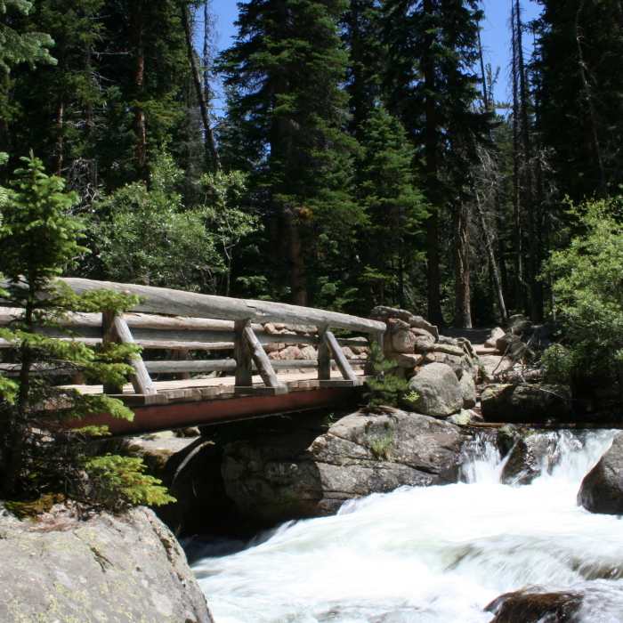 Near Wild Basin Trail
