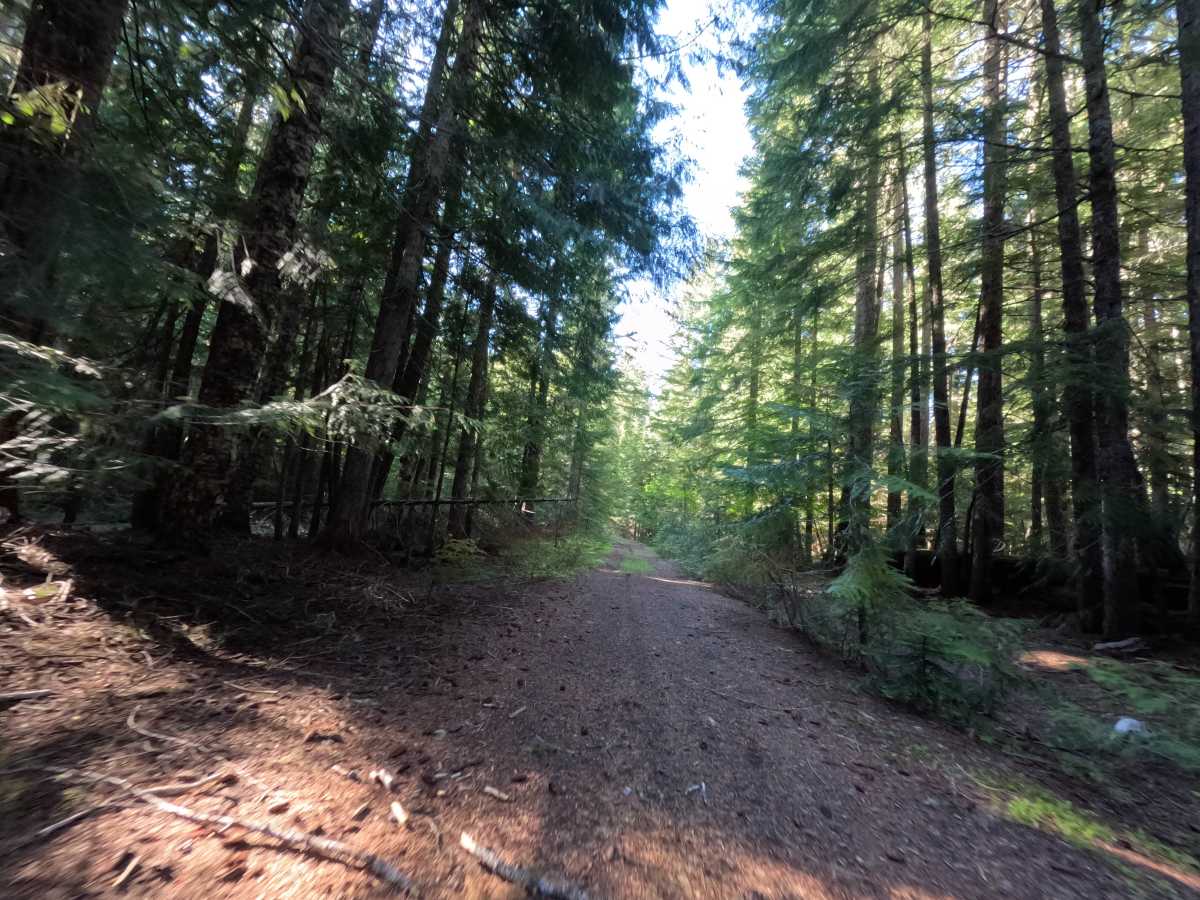Klingers Camp Road - FS 3530240 photo 5